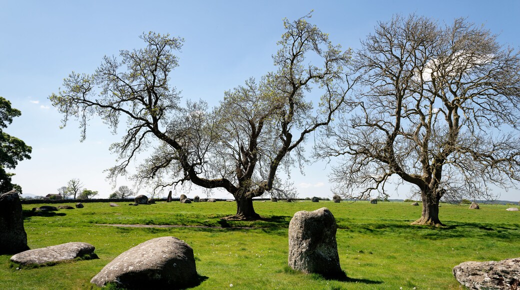 Un campo cubierto de hierba con varias rocas grandes y árboles con pocas hojas.