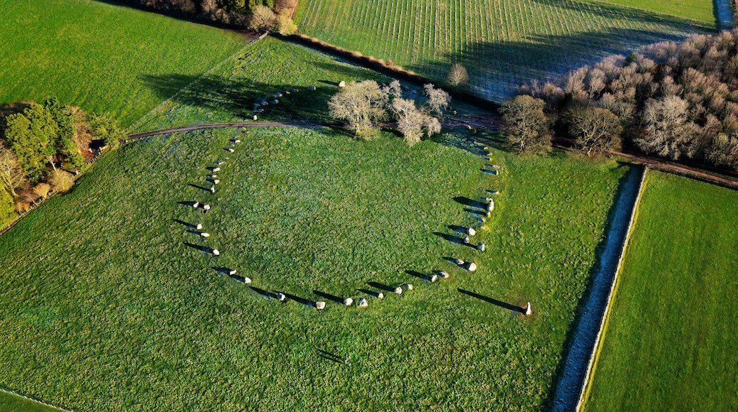Vista aérea de un círculo de piedras en un campo verde, rodeado de árboles y campos.