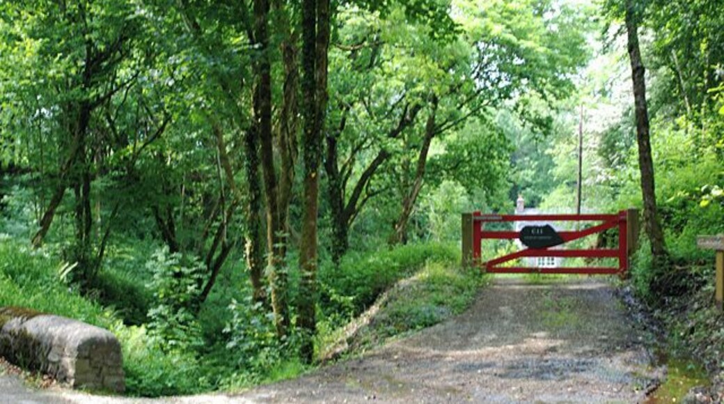 Cwm of the Nant Wysg The stream descends quite steeply down the wooded cwm. On the right is the entrance to Cwarel-isaf, while on the other side of the stream, hidden by the trees, is the trackbed of the Lampeter, Aberayron and New Quay Light Railway, now a farm track.