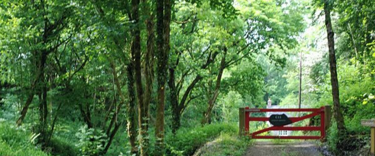A forested area with a red gate and a sign that reads "Private Road."