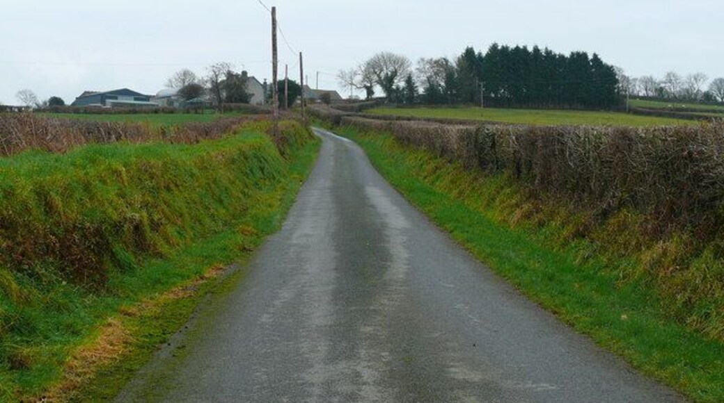 Lon wledig ger Graigwen / Country lane near Griagwen Lon wledig rhwng Ystrad Aeron a Cribyn / Country lane between Ystrad Aeron and Cribyn