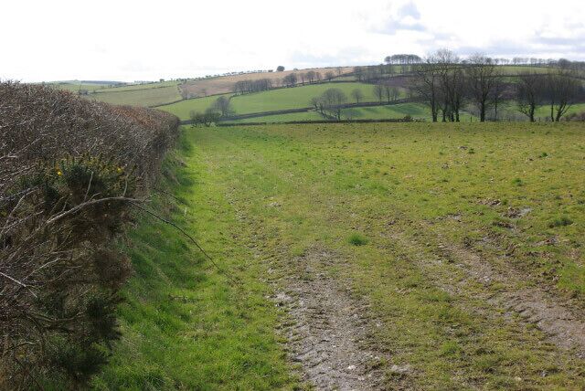 Farmland north of Troed-y-rhiw West of the Troed-y-rhiw - Dihewyd road; the land falls away into the valley of a minor tributary of the Teifi.