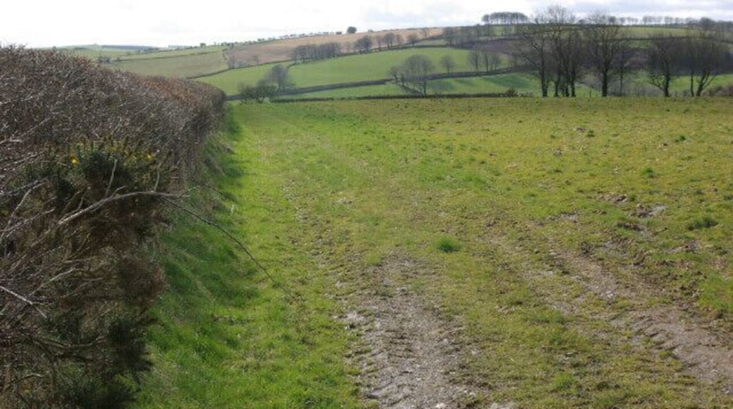 Farmland north of Troed-y-rhiw West of the Troed-y-rhiw - Dihewyd road; the land falls away into the valley of a minor tributary of the Teifi.