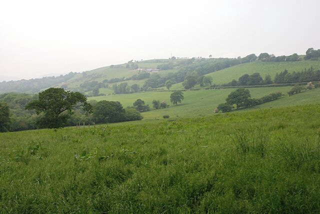 Fields near Rhiwonnen Lying above the east side of the Nant Wysg.