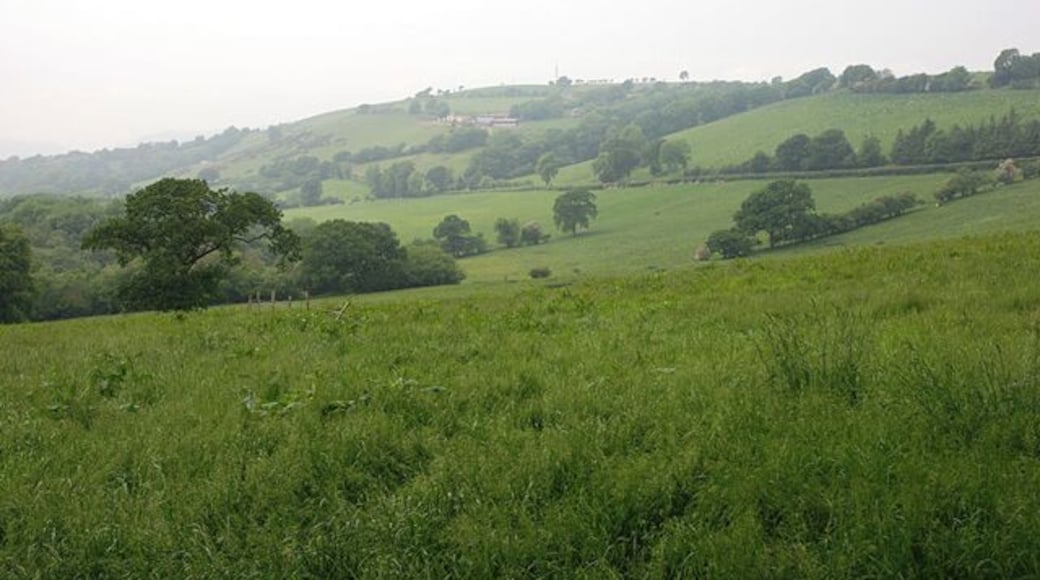 Fields near Rhiwonnen Lying above the east side of the Nant Wysg.