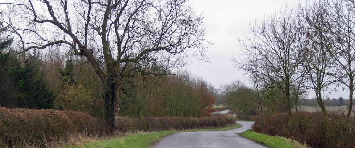 A rural road curving through a countryside with trees and hedgerows on both sides.