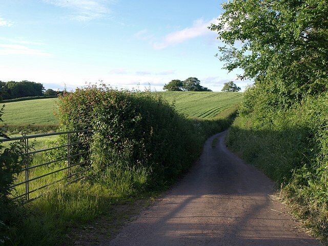Lane near Abbotskerswell The lane from Gulland Cross to Greatoak Cross approaches the northern edge of the square.