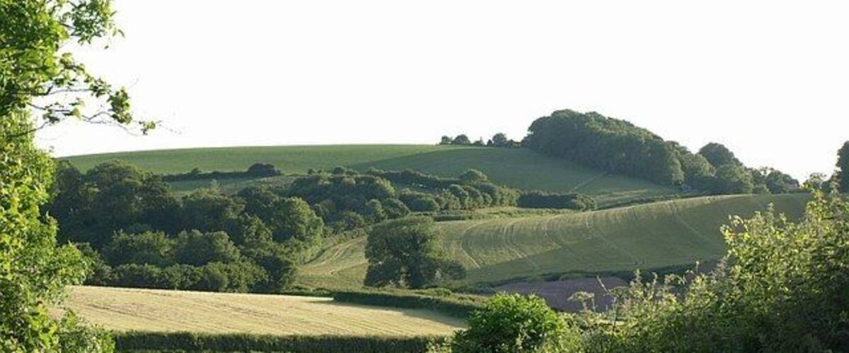 Countryside south of Abbotskerswell The lane from Greatoak Cross to Gulland Cross drops to a valley which drains through Abbotskerswell. The view ahead divides between squares; much of the left side of the image is in SX8567, and the trees on the far hill, which conceal housing at Two Mile Oak Cross, are in SX8467.