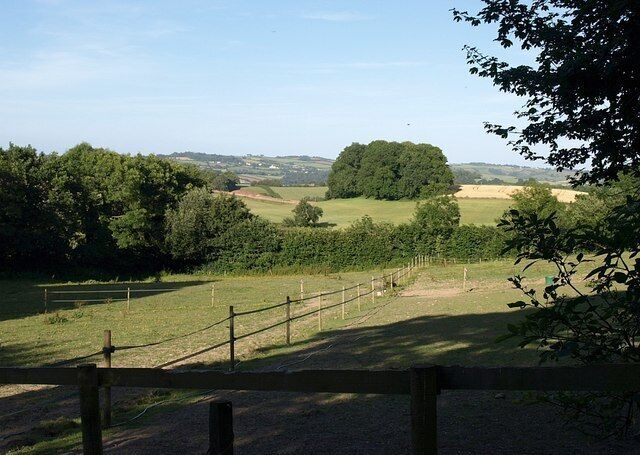 Paddock, Two Mile Oak Cross By Whiddon Road, east of the junction. The landscape behind passes into SX8568.