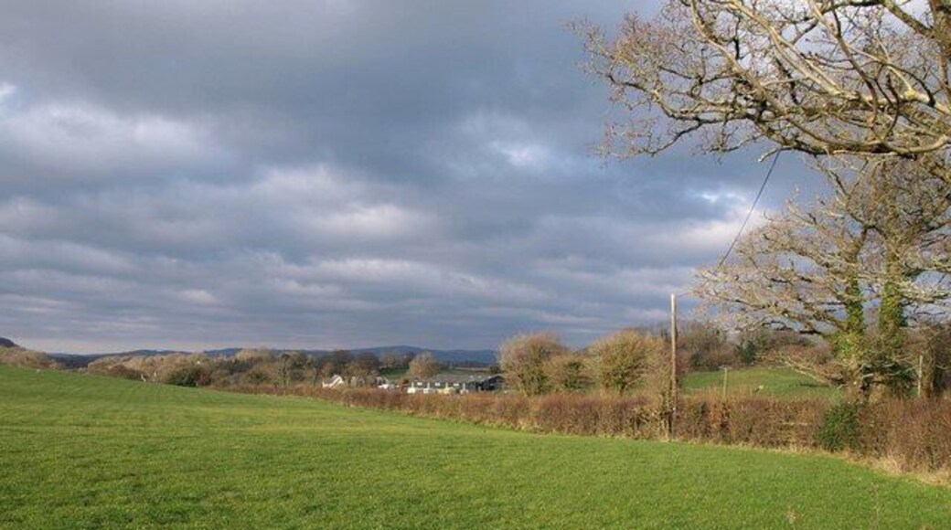 Field at Two Mile Oak Cross. The pasture is in the angle between the A361 and the lane to Dornafield Cross. 1629804 is just to the right.