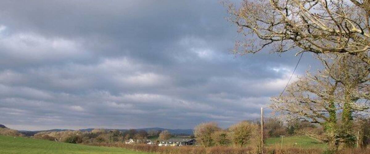 A grassy field with a tree and houses in the distance under a cloudy sky.