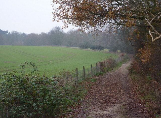 Footpath near Shottisham It's easy to miss the turns to the right for the church and Shottisham village from this path.