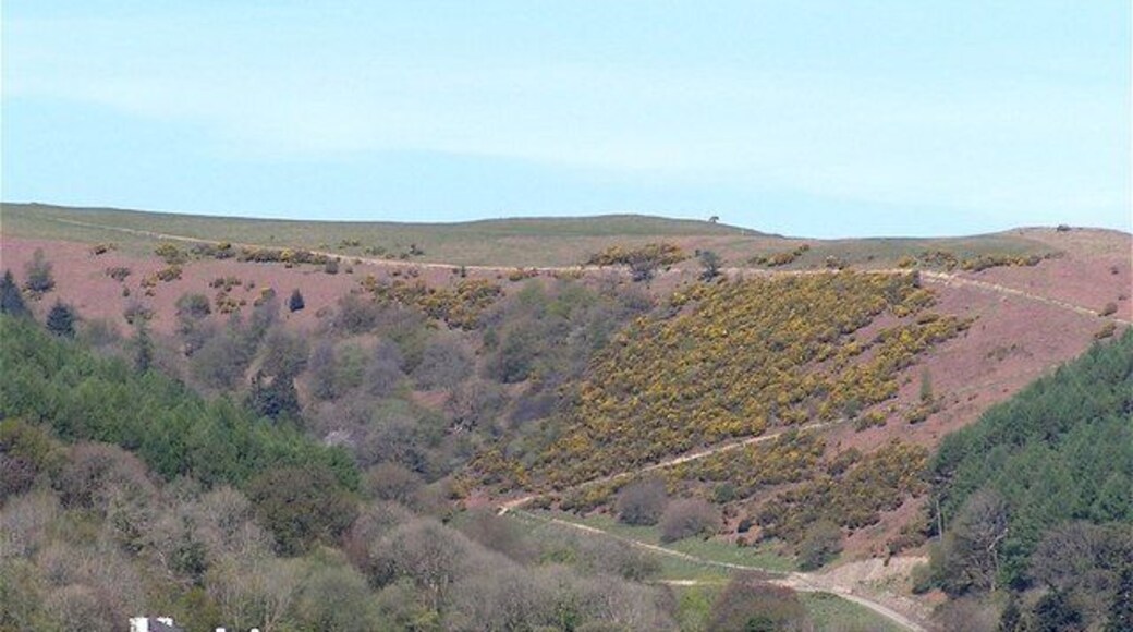 Mynydd Cynros The new path across Mynydd Cynros