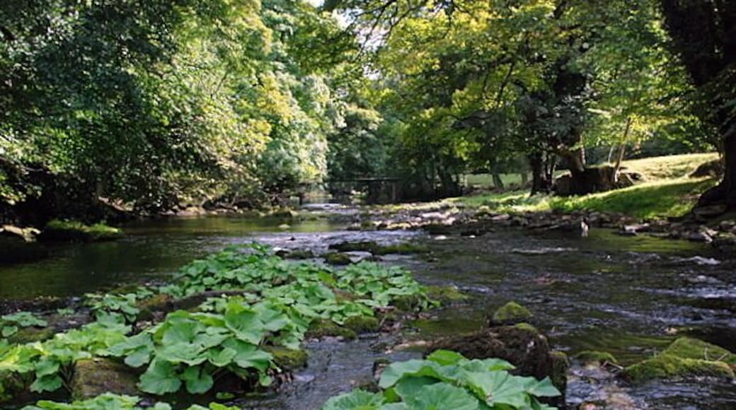 The river Derwent near Calver Taken from just south-east of the weir, this picture shows the river looking downstream.