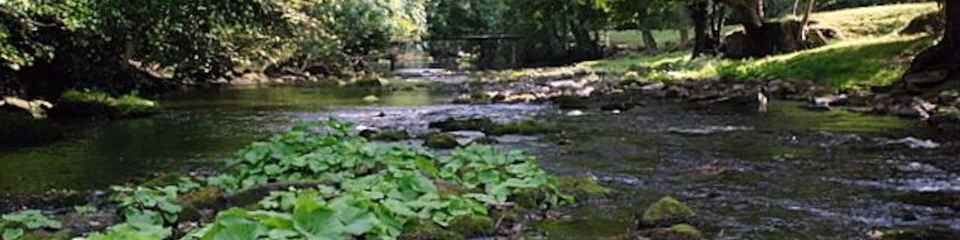 The river Derwent near Calver Taken from just south-east of the weir, this picture shows the river looking downstream.