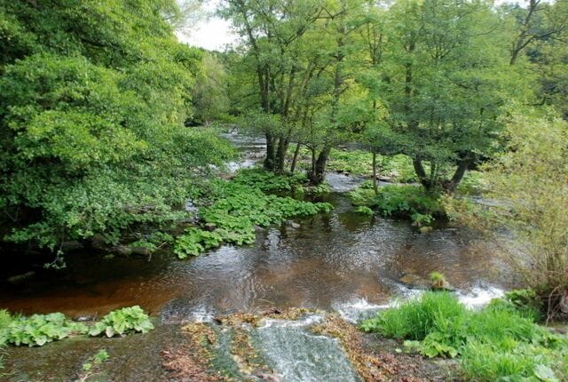 Below the weir A weir dams the river Derwent at this point which used to feed water to Calver Mill. Below the weir the river is wider and shallower with several small islands.