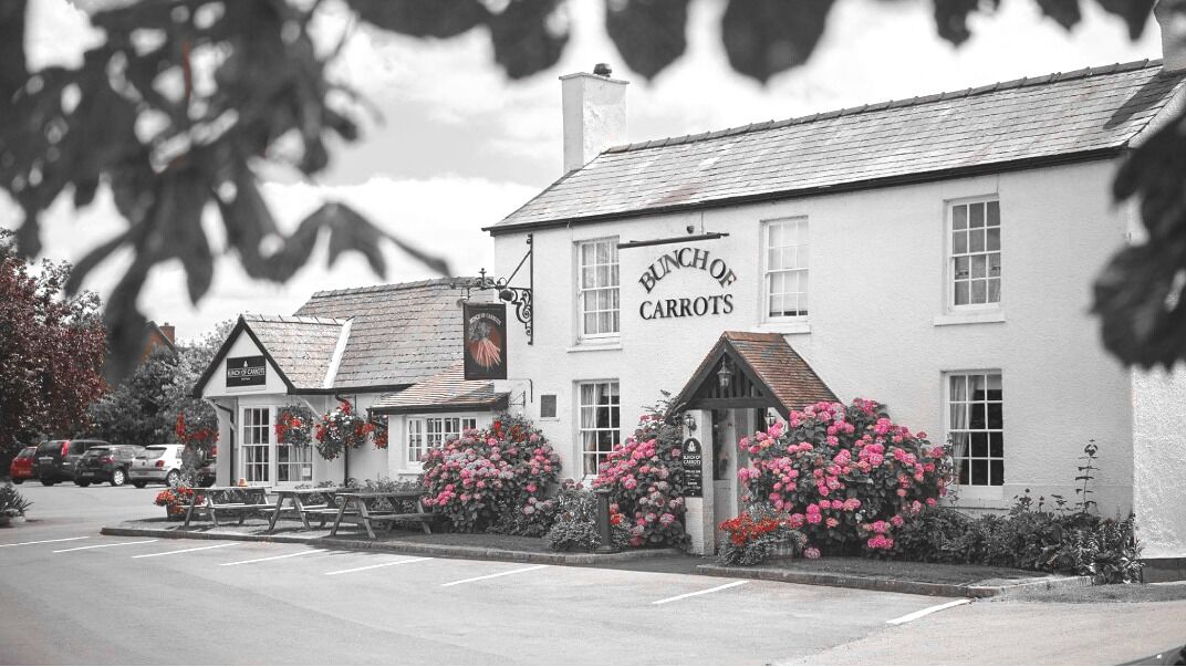 A white building with a sign reading "Bunch of Carrots."