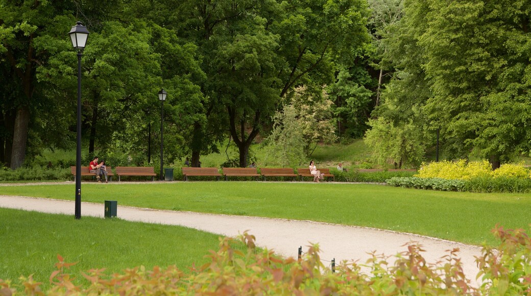 Vilnius showing a park