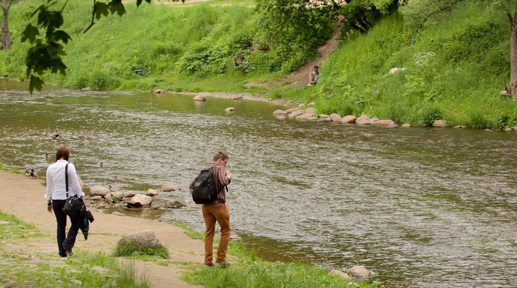 Vilna johon kuuluu joki tai puro sekä pari