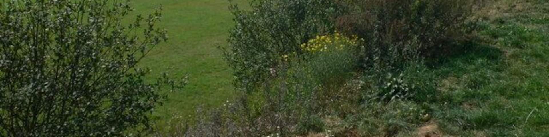 View towards Katzenfurt from the Autobahn service station