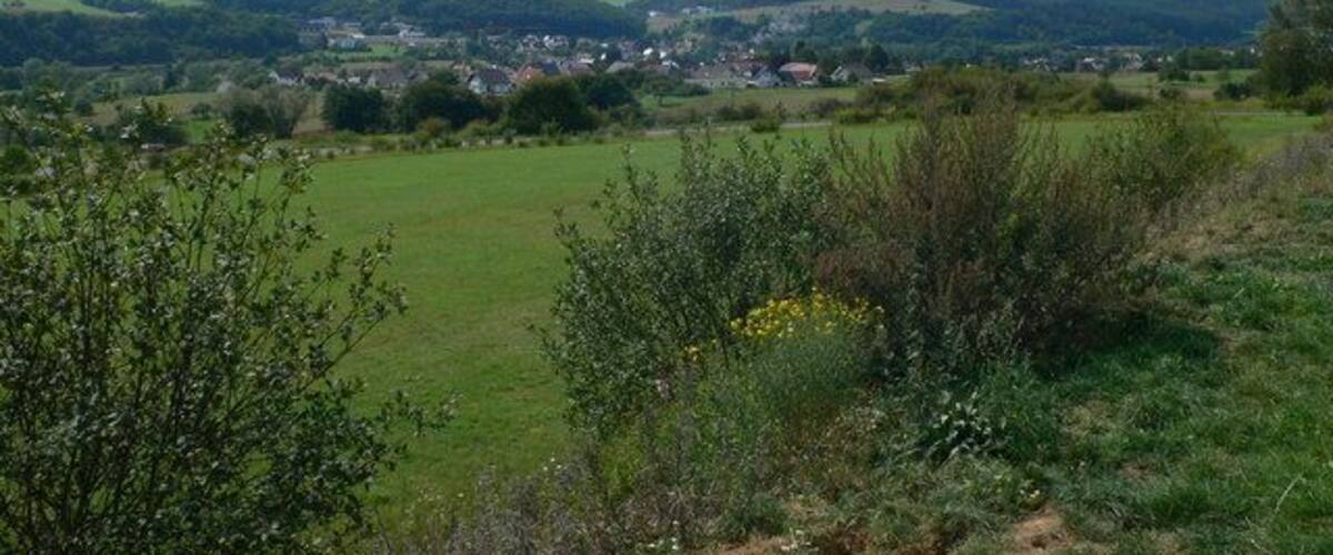A rural landscape with rolling hills, a village in the distance, and a grassy field with wildflowers.