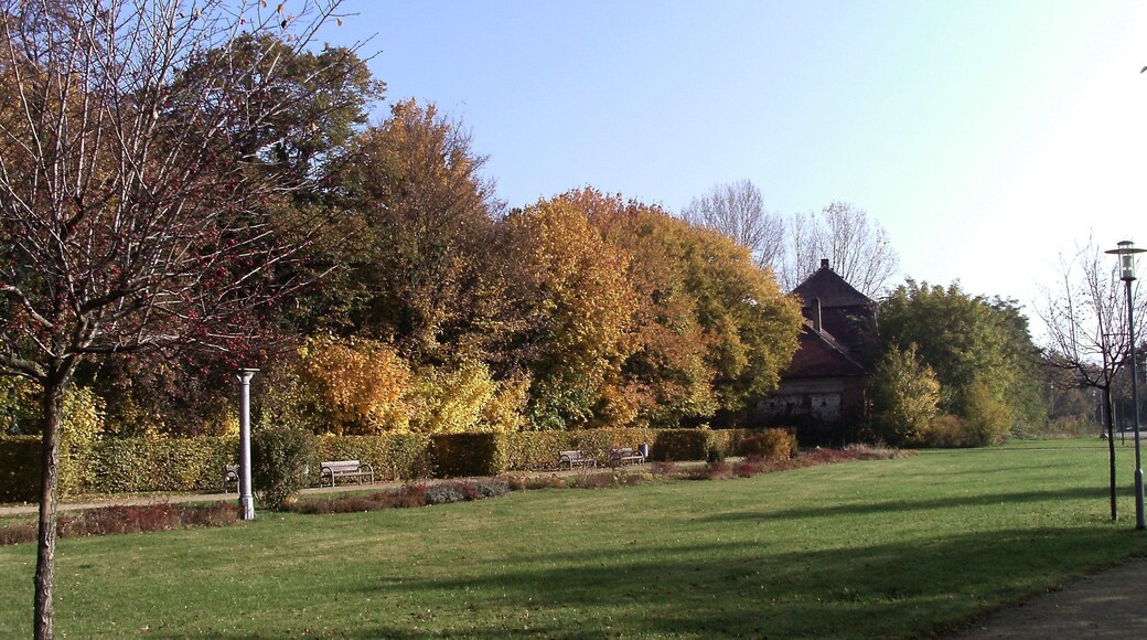 Southern edge of Probstdeuben park, Grossdeuben (Böhlen, Leipzig district, Saxony)