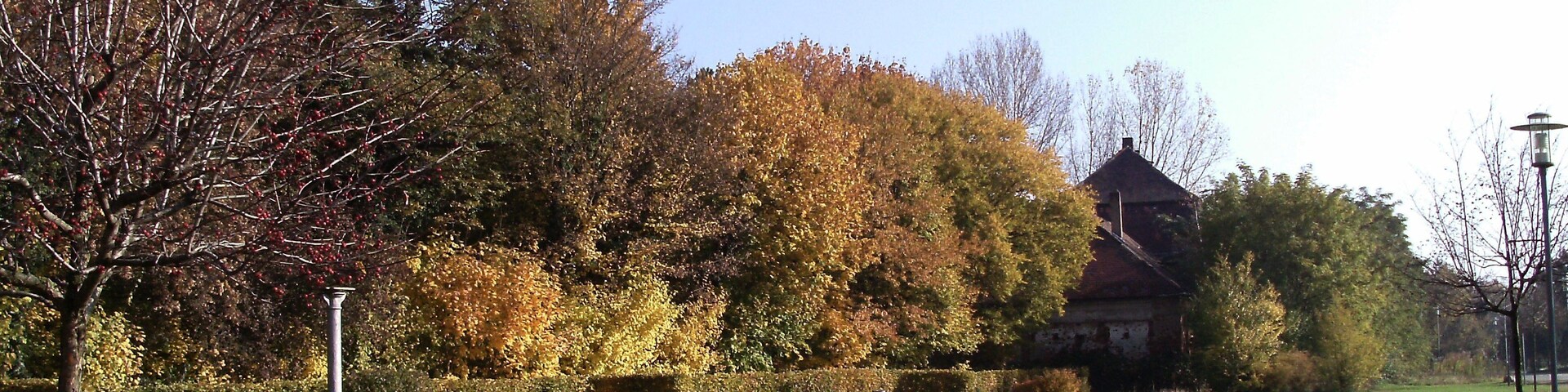 Southern edge of Probstdeuben park, Grossdeuben (Böhlen, Leipzig district, Saxony)