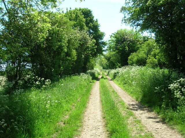 Bridleway towards Thirkleby Wold