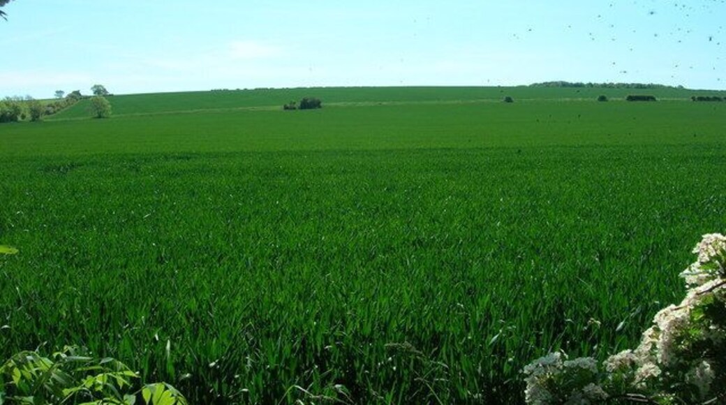 Farmland near West Lutton