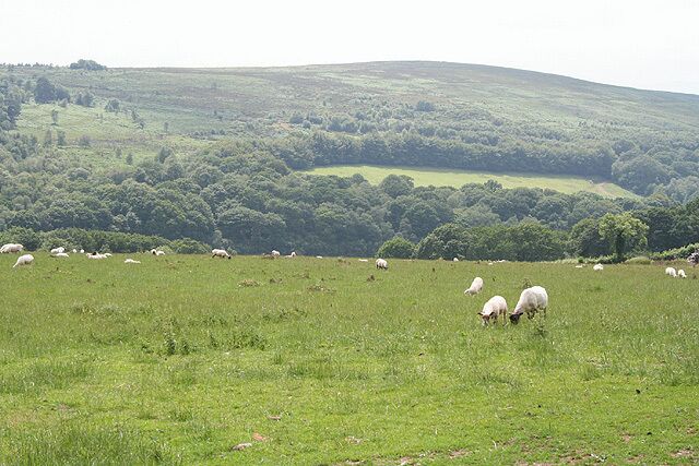 Upton: towards Haddon Hill. Looking west-south-west across a hidden arm of the Wimbleball Lake to Hadborough