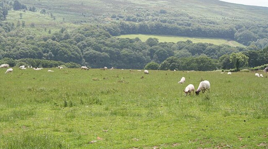 Upton: towards Haddon Hill. Looking west-south-west across a hidden arm of the Wimbleball Lake to Hadborough
