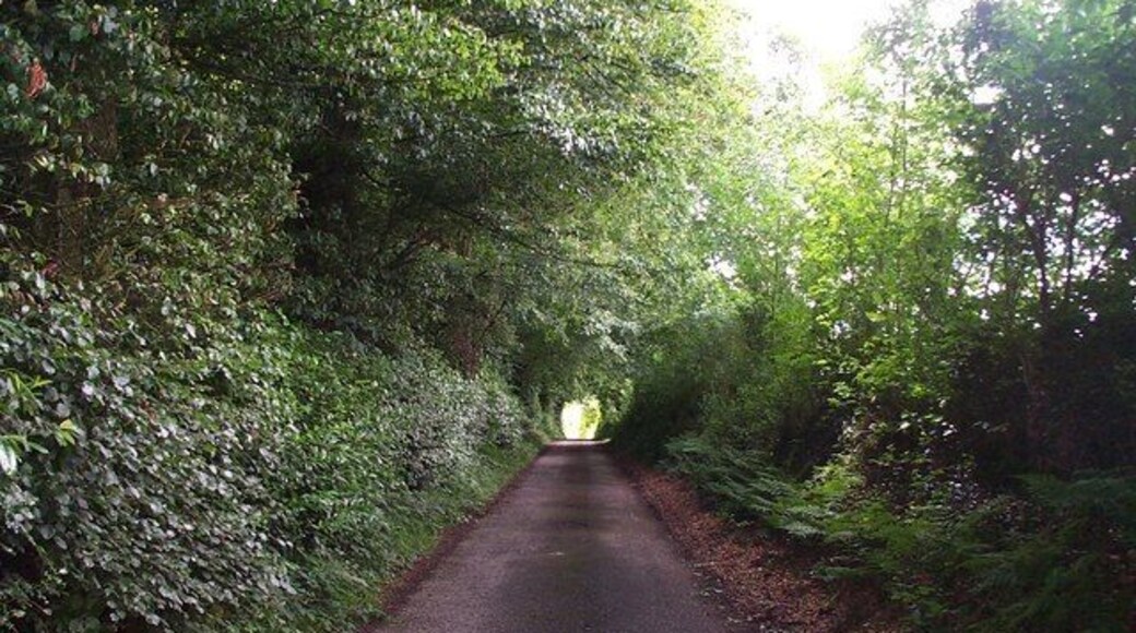 Lane to Upton Farm. What starts off as a lane becomes a public bridleway after about 800 metres.