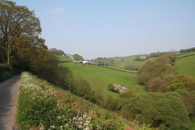 Skilgate: near Bittescombe Hill Farm. Looking north east on the lane from Blackwell