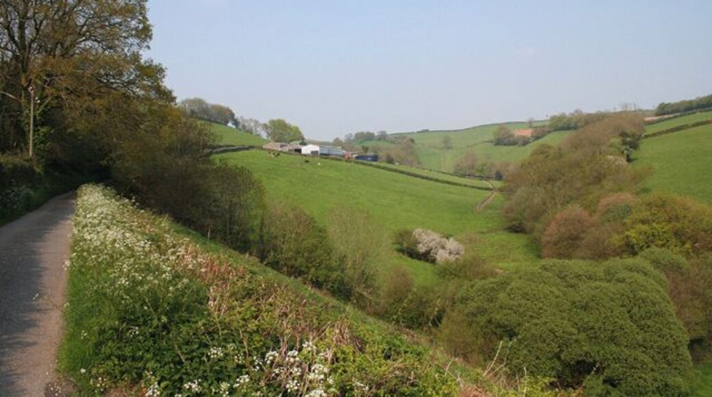 Skilgate: near Bittescombe Hill Farm. Looking north east on the lane from Blackwell