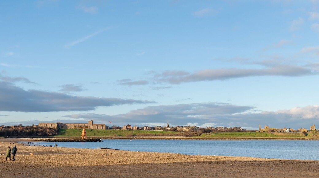 Panoramic view of Little Haven Beach in South Shields, UK, looking towards Tynemouth over River Tyne