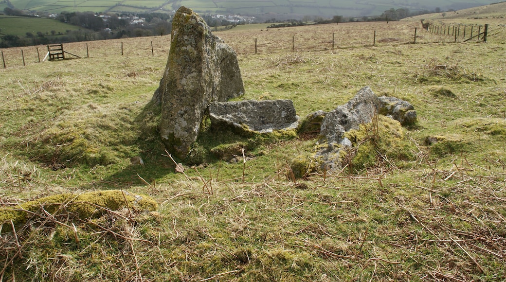 Cockoo Ball. A Kistvaen on the southern edge of Dartmoor