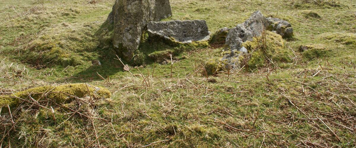 Cockoo Ball. A Kistvaen on the southern edge of Dartmoor