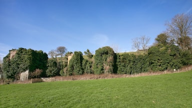 Fowlescombe Manor House or Mansion