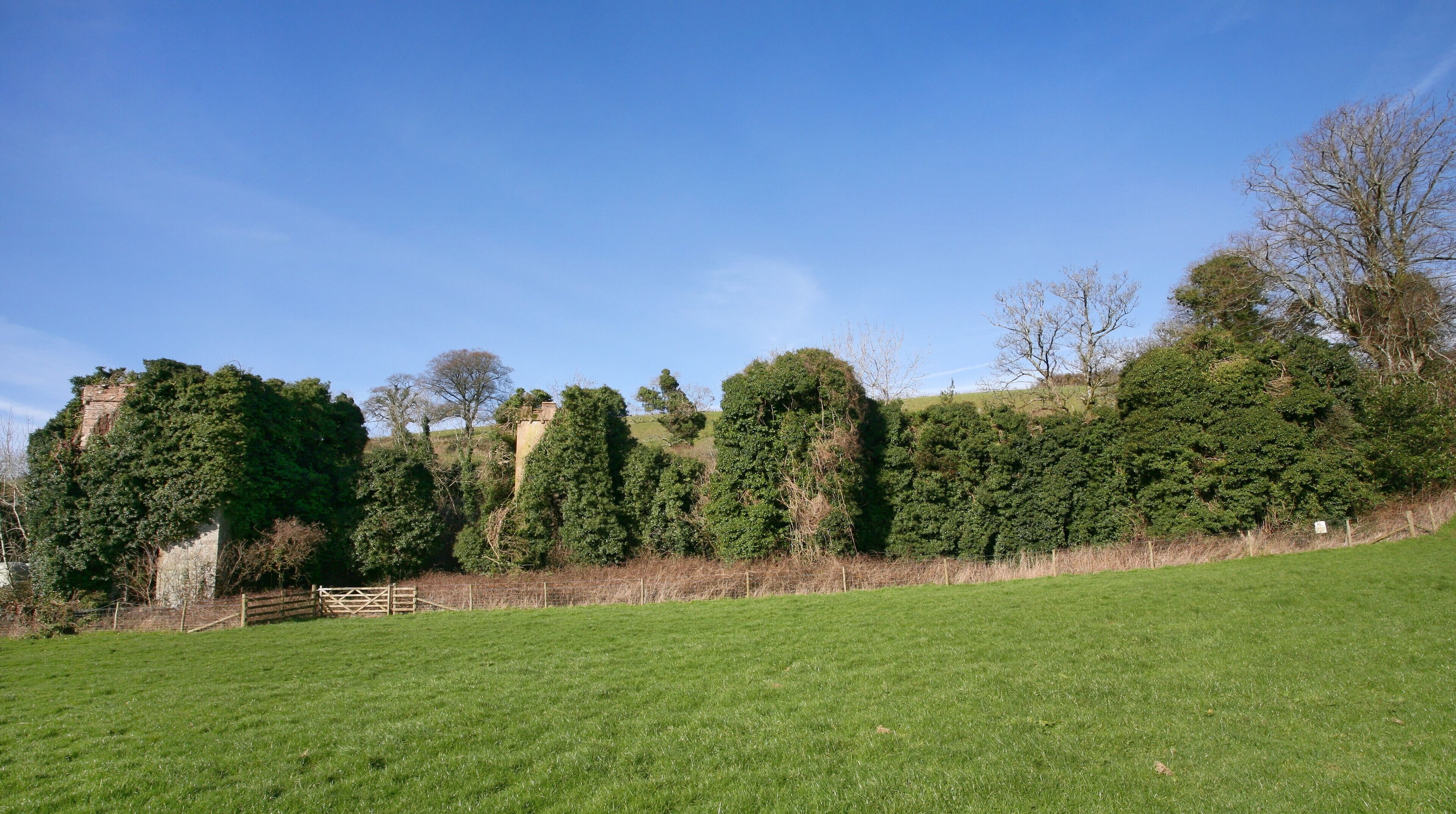 A grassy field with a stone wall and trees.