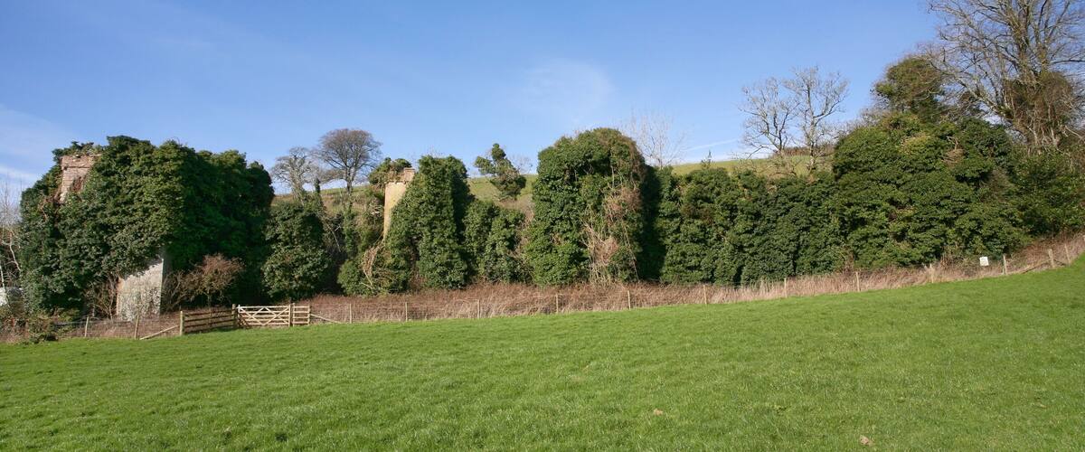 A grassy field with a stone wall and trees.