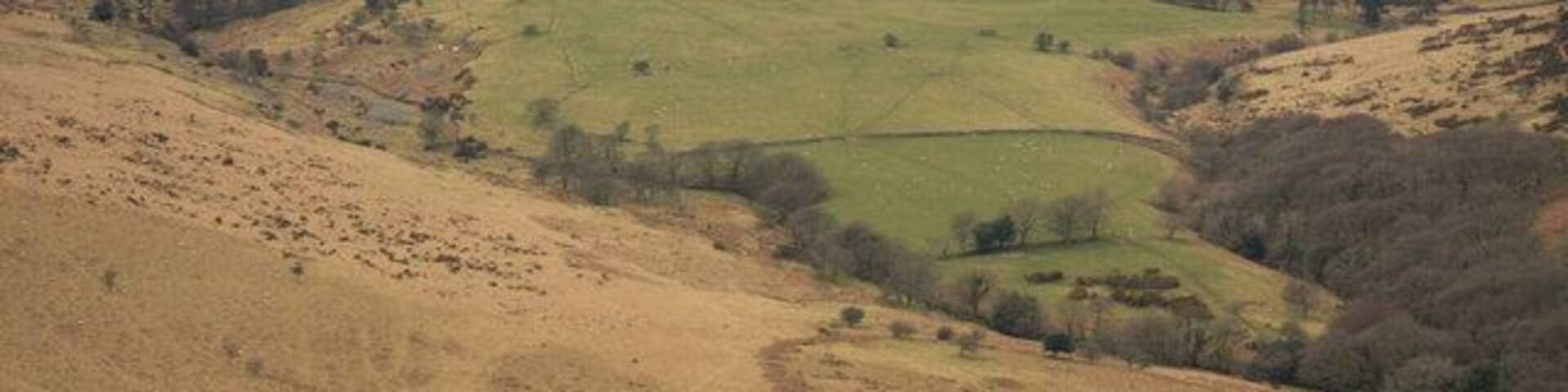 Glaze Brook Valley enclosures Clearly visible from Ugborough Beacon the nearer circle is Scad Brook North and the further circle is Glaze Meet South.