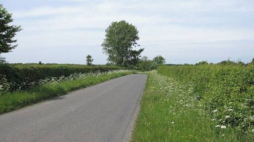 Ley Road Also part of the Icknield Way long distance footpath.