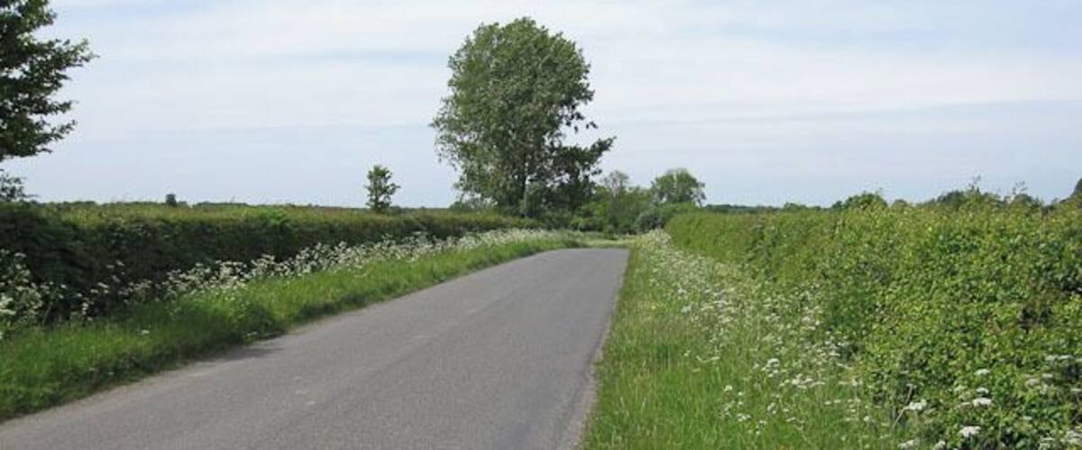 A rural road flanked by fields and trees.