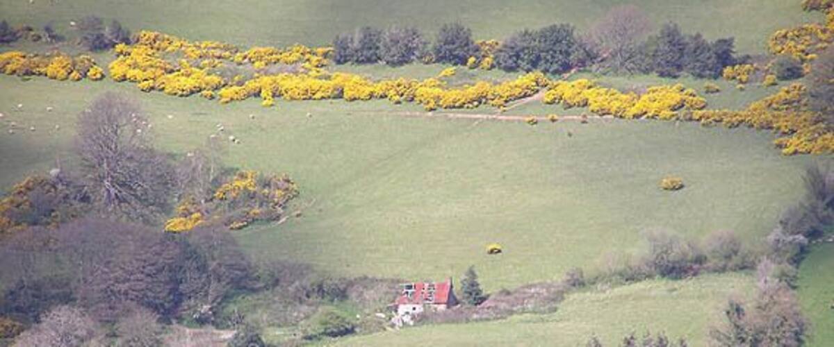 Derelict "Eyreland" The derelict cottage marked on modern maps as "Eyreland" from across the valley on the Treborough - Court farm lane