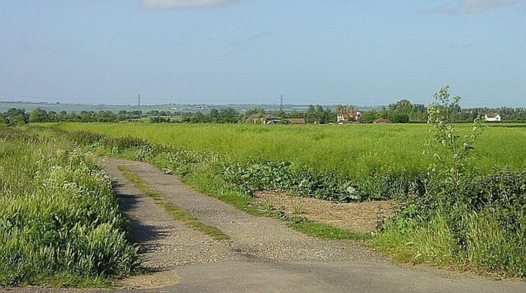 North of the A2 at Green Street. Looking north north east from the A2 across a field of rape towards 272549. The rising ground in the distance is the Isle of Sheppey.