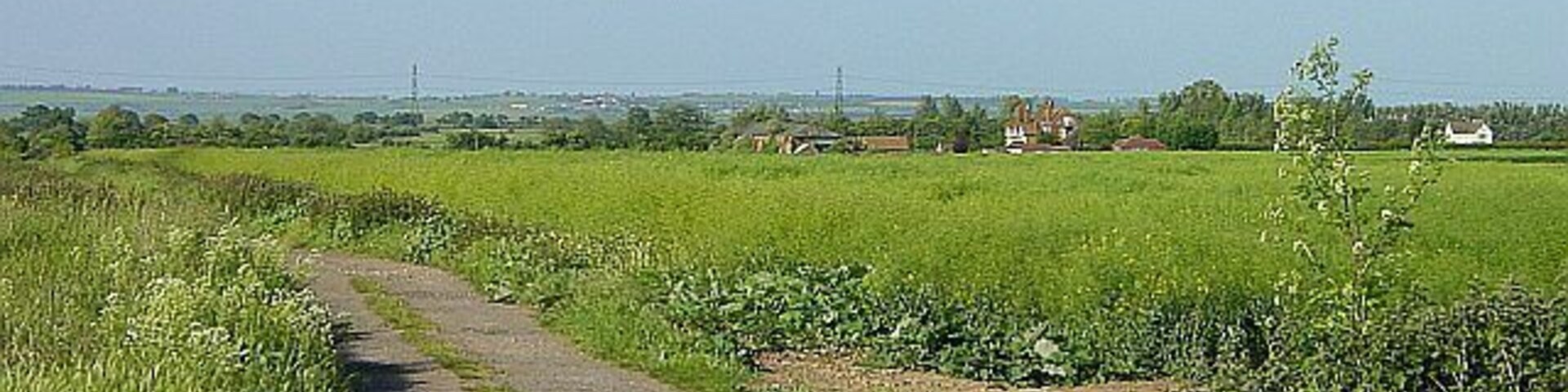 North of the A2 at Green Street. Looking north north east from the A2 across a field of rape towards 272549. The rising ground in the distance is the Isle of Sheppey.