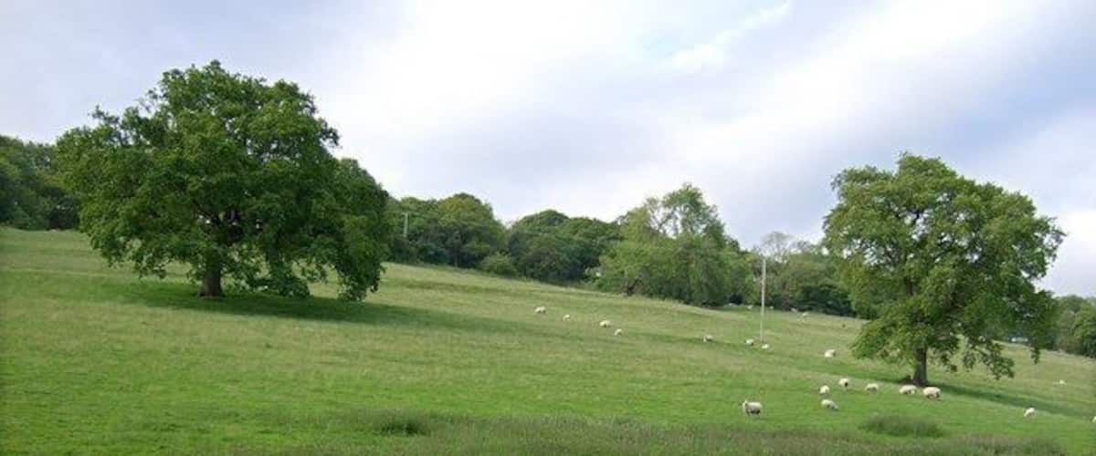 Graig Llanishen Footpath, Thornhill The photo doesn't relay how steep this field is unfortunately.