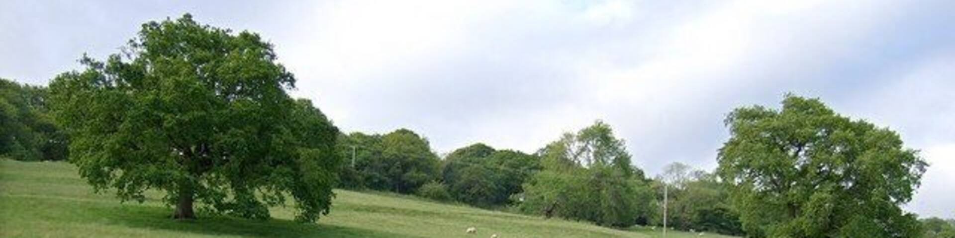Graig Llanishen Footpath, Thornhill The photo doesn't relay how steep this field is unfortunately.