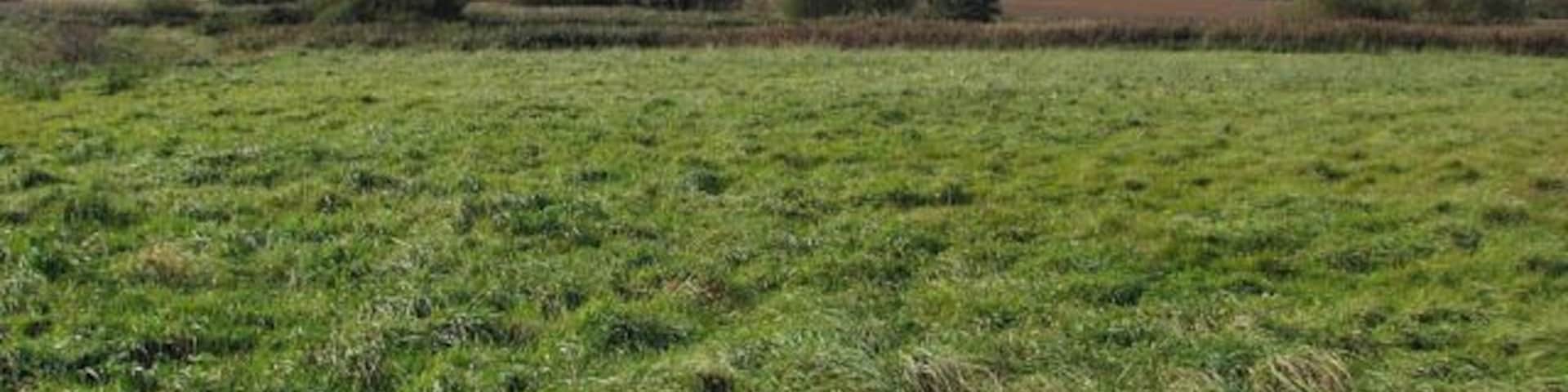 View towards the North Walsham & Dilham canal From the circular walk. The circular walk runs past the shelter and picnic tables > 1020738 further to the north (in adjacent grid square). It leads in southerly direction, past drains and a pond > 1020781. After crossing a footbridge over a drain > 1020790 running parallel to the River Ant/North Walsham and Dilham canal the path changes course to easterly, running between the river and the drain > 1020797 before turning north and back towards the car park. Pigney's Wood (marked as Pigrey's Wood on OS maps but all signs and information boards put up in the area give its name as Pigney's Wood) was purchased in 1992 by the North Norfolk Community Woodland Trust. It consists of 12 acres of meadowland adjoining the North Walsham and Dilham canal, 5 acres of existing woodland and approximately 35 acres of new woodland. A number of public footpaths traverse the site.