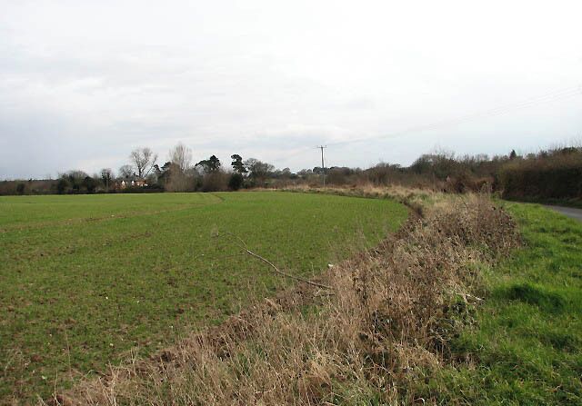 Field bordering Hall Road The house seen in the background (at left), Rivermount, is located near the North Walsham and Dilham canal.